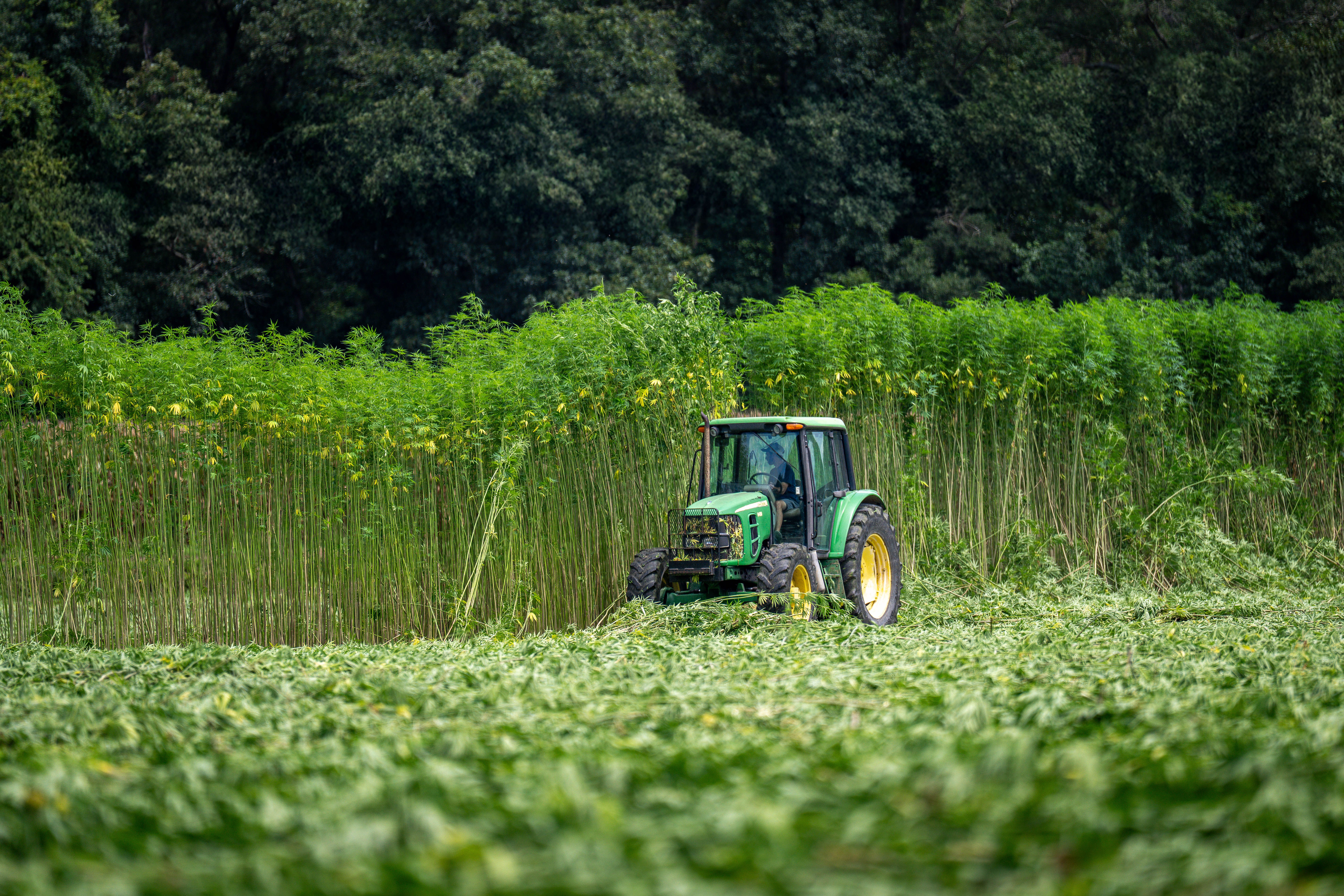pexels-nc-farm-bureau-mark-33325755